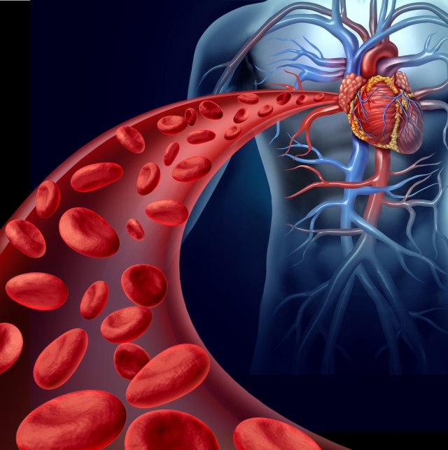 Kardiolog o uticaju kovida 19 na srce: Oprezno u narednih tri do šest meseci